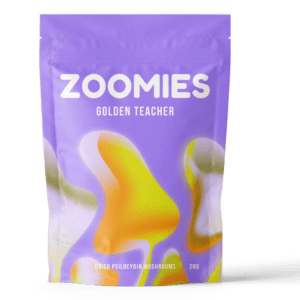 Golden Teacher | Momentum Mushroom Canada
