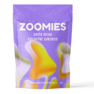 Costa Rican | Momentum Mushroom Canada