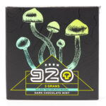 Room 920 - Mushroom Chocolate Bar - Dark Chocolate Mint - 3 grams | Momentum Mushroom Canada
