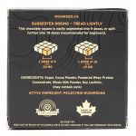 Room 920 – Mushroom Chocolate Bar - Milk Chocolate - 3 Grams | Momentum Mushroom Canada