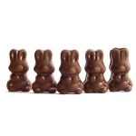 Alice - Mushroom Milk Chocolate - 2.5g | Momentum Mushroom Canada