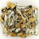 Orissa | Momentum Mushroom Canada