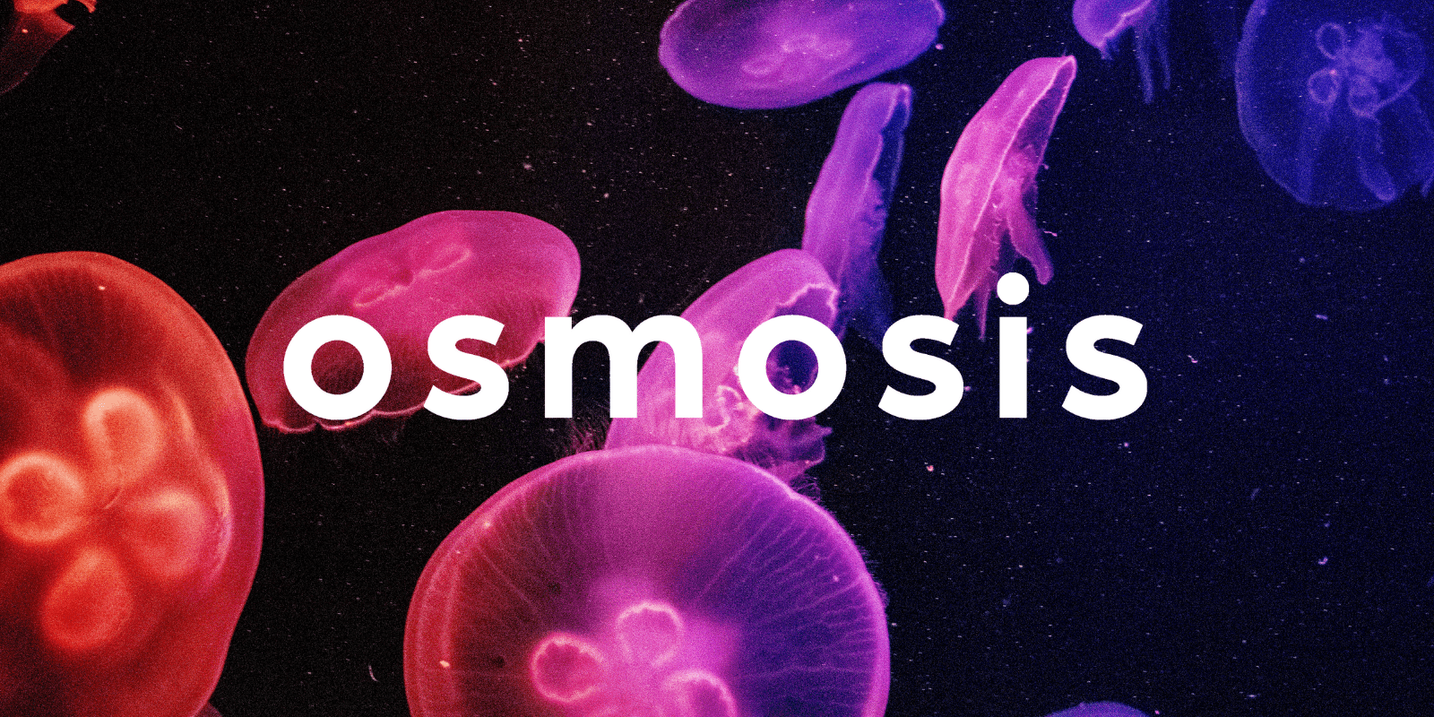 Zoomies osmosis banner | Momentum Mushroom Canada