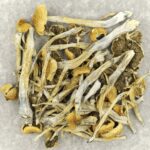 Trinity | Momentum Mushroom Canada