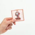 Wonder – Psilocybin Chocolate Bar – Blood Orange | Momentum Mushroom Canada