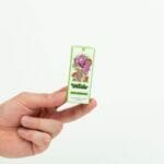 Wonder – Psilocybin Chocolate Bar – Dark Chocolate | Momentum Mushroom Canada