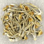 Hautla | Momentum Mushroom Canada