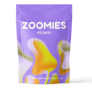 Big Daddy | Momentum Mushroom Canada