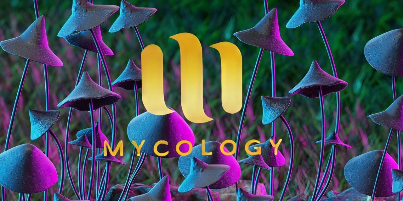Zoomies Summer 2023 Banner - Mycology | Momentum Mushroom Canada