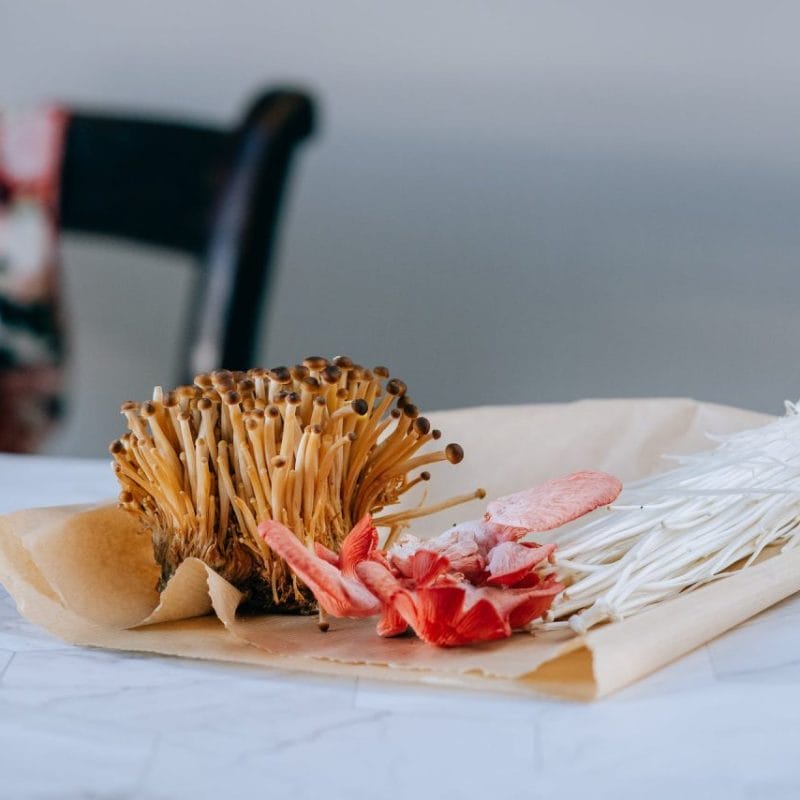 Buy Shrooms Online Canada (1) | Momentum Mushroom Canada