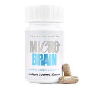 Euphoria Psychedelics – Micro Brain Capsules - (100mg X 20 Capsules) | Momentum Mushroom Canada