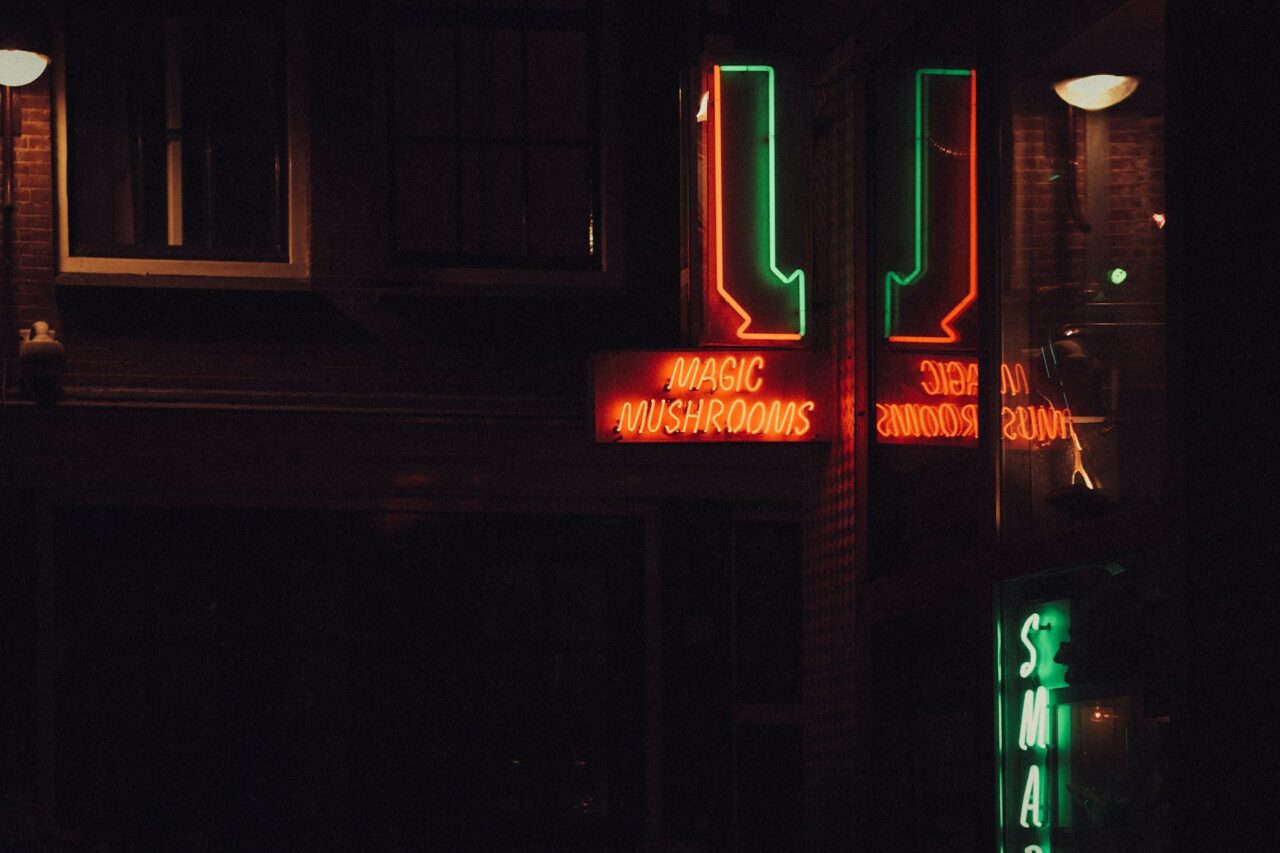 Vancouver’s Mushroom Dispensary – Canada’s Progress in Matching the US’s Mushroom Surge?